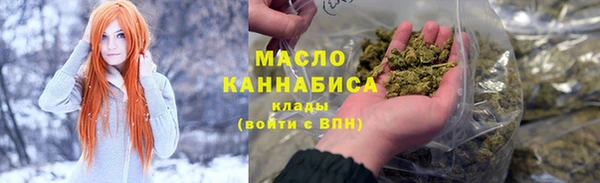 индика Арсеньев