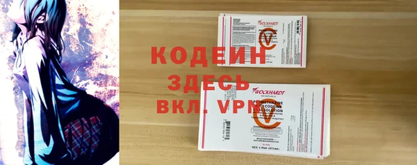 индика Арсеньев