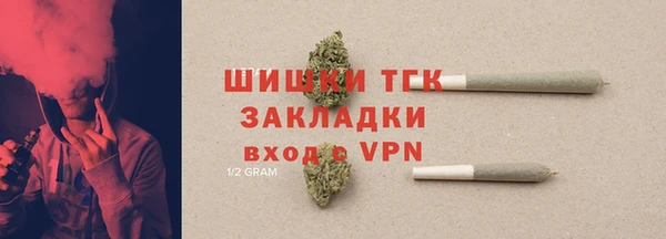гашик Аркадак