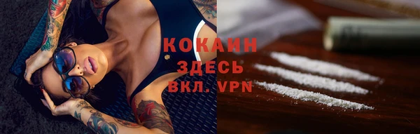 индика Арсеньев