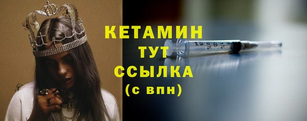 индика Арсеньев