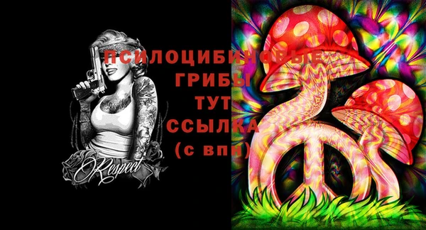 молекула духа Армянск
