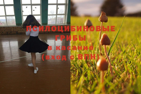 гашик Аркадак