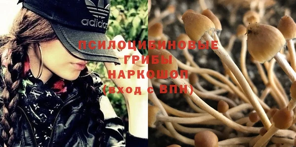 молекула духа Армянск