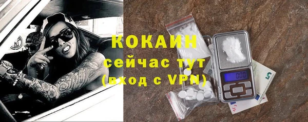 гашик Аркадак