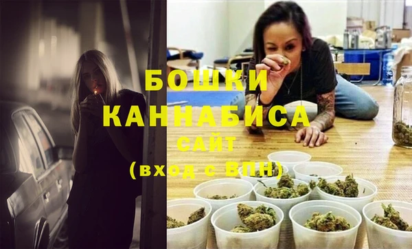 индика Арсеньев