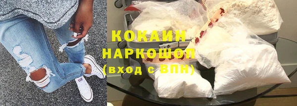 индика Арсеньев