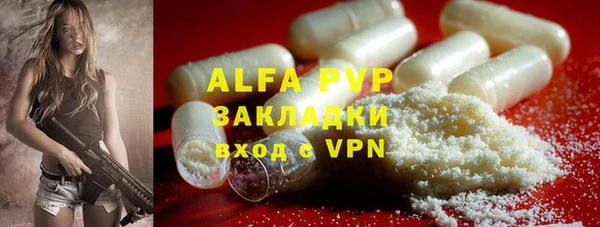 индика Арсеньев