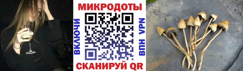 Псилоцибиновые грибы мухоморы  Купить  Ишимбай 